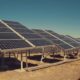 La bodega «Don Doménico» construirá un parque fotovoltaico de paneles solares.