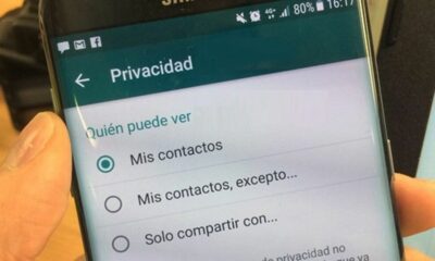 WhatsApp modifica el «Visto por última vez» para que se pueda ocultar a contactos específicos.