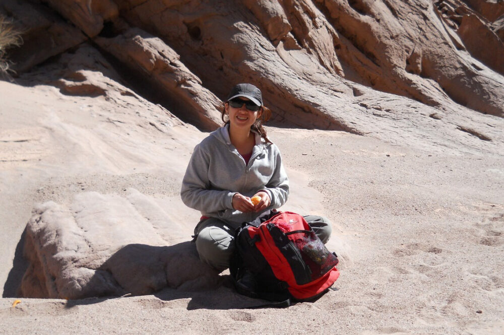 Investigadora de la UNSJ recibió un premio por su estudio composicional sobre rocas sedimentarias. Investigadora de la UNSJ recibió un premio por su estudio composicional sobre rocas sedimentarias.