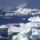 Cambio climático: Detectaron un pez tropical en el Círculo Polar Ártico.