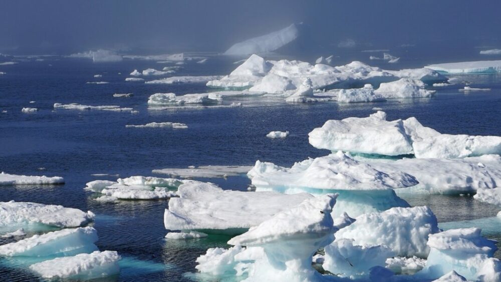 Cambio climático: Detectaron un pez tropical en el Círculo Polar Ártico. Cambio climático: Detectaron un pez tropical en el Círculo Polar Ártico.