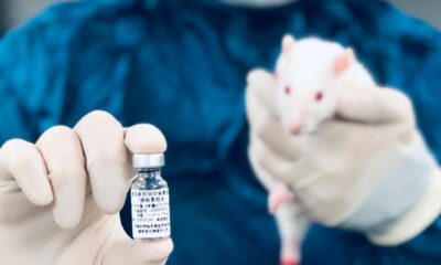 La variante ómicron infecta a ratas y a ratones, que hasta ahora eran invulnerables al virus.