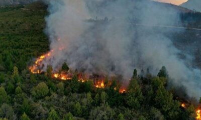 Declararon la emergencia ígnea en todo el país mientras combaten los incendios en la Patagonia.