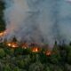 Declararon la emergencia ígnea en todo el país mientras combaten los incendios en la Patagonia.