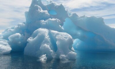 Cambio climático: La ONU reconoce el récord de calor en el Ártico de 38ºC.