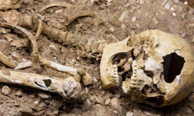 Encuentran en Rusia esqueletos en un pozo cubierto de barro hace más de 2.300 años.