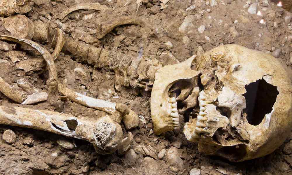 Encuentran en Rusia esqueletos en un pozo cubierto de barro hace más de 2.300 años. Encuentran en Rusia esqueletos en un pozo cubierto de barro hace más de 2.300 años.