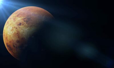 Científicos afirman que hay vida en Venus.