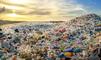 La naturaleza lucha contra la contaminación del hombre: microbios evolucionan para descomponer el plástico rápidamente.
