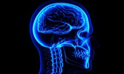 Científicos descubren una nueva parte del cuerpo humano.