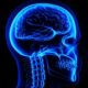 Científicos descubren una nueva parte del cuerpo humano.