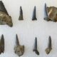 Fósiles de microorganismos revelan la evolución del clima y la vida en la Tierra.