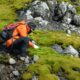 Científicos argentinos investigan bacterias para combatir la contaminación.