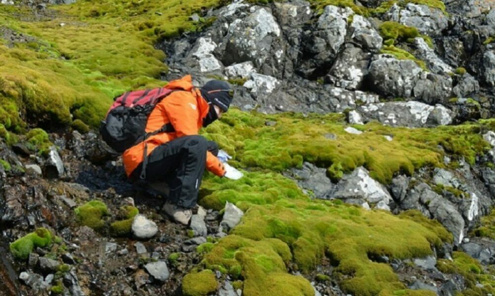 Científicos argentinos investigan bacterias para combatir la contaminación. Científicos argentinos investigan bacterias para combatir la contaminación.