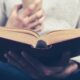 Pasá la ola de calor leyendo estos libros que liberan.