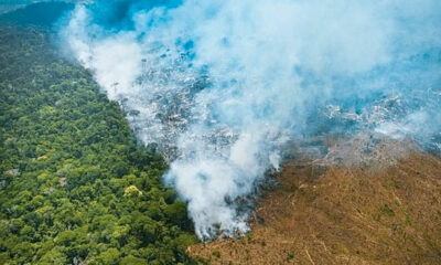 Brasil: la deforestación del Amazonas crece un 29% anual, la mayor en 10 años.