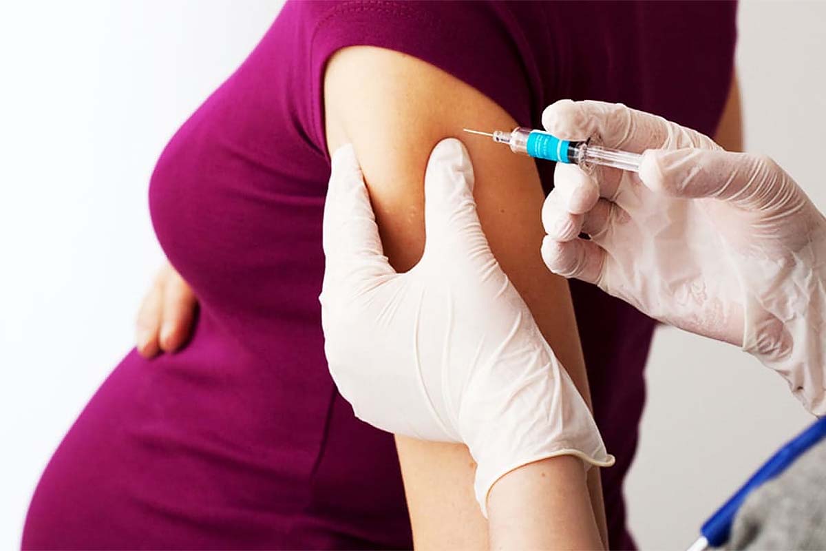 Desmitifican que la vacunas contra el coronavirus afecten la ovulación y embarazo. Desmitifican que la vacunas contra el coronavirus afecten la ovulación y embarazo.