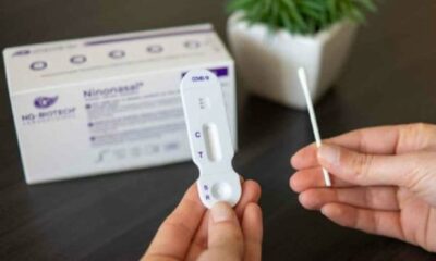 ¿Cómo se informará el resultado de los Autotest de Covid-19?.
