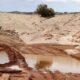 El Parque Ischigualasto y El Leoncito permanecen cerrados por el temporal.￼