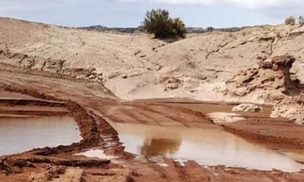 El Parque Ischigualasto y El Leoncito permanecen cerrados por el temporal. El Parque Ischigualasto y El Leoncito permanecen cerrados por el temporal.