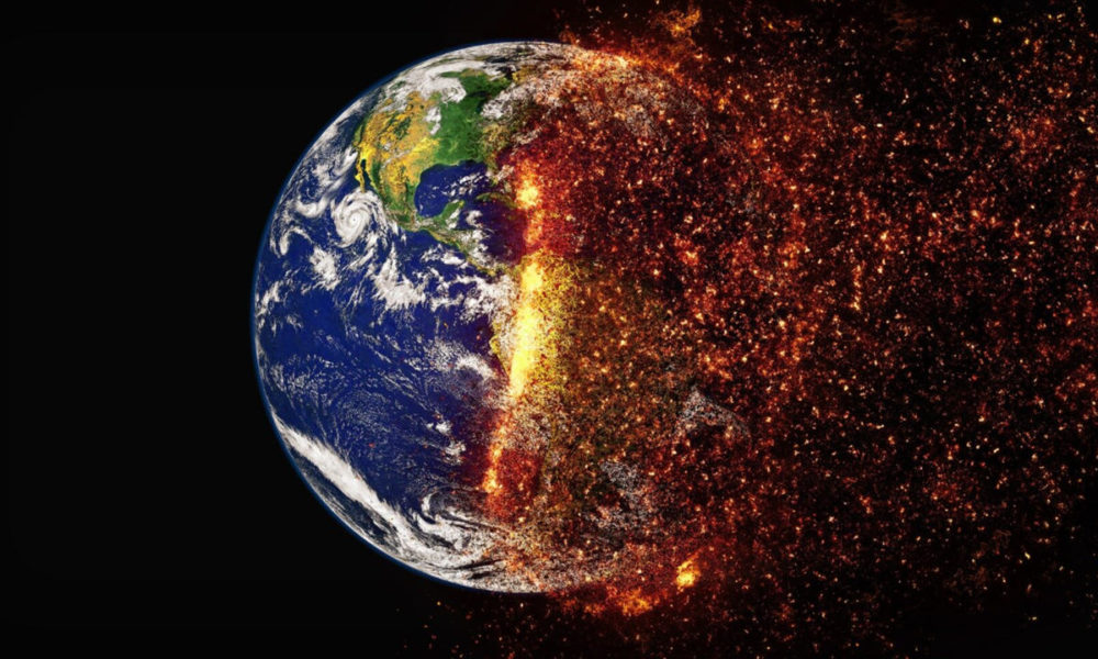 Los científicos advierten que la sexta extinción masiva de la biodiversidad mundial ya está en marcha. Los científicos advierten que la sexta extinción masiva de la biodiversidad mundial ya está en marcha.