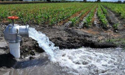 Crisis hídrica: ¿es posible reutilizar las aguas grises?.