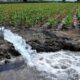 Crisis hídrica: ¿es posible reutilizar las aguas grises?.
