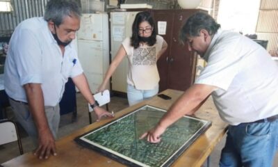 La Secretaría de Ambiente proyecta la forestación de la Escuela de Fruticultura y Enología.