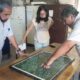 La Secretaría de Ambiente proyecta la forestación de la Escuela de Fruticultura y Enología.