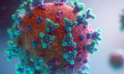 La rápida expansión de Omicron podría crear nuevas variantes de Covid-19.