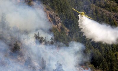 Río Negro y Corrientes registran focos activos de incendios forestales.