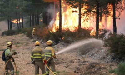 Incendios en Corrientes: Gustavo Valdés dijo que el fuego «se redujo un 30 por ciento».