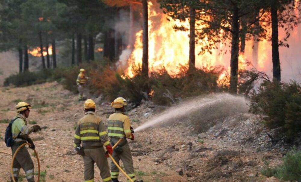Incendios en Corrientes: Gustavo Valdés dijo que el fuego «se redujo un 30 por ciento». Incendios en Corrientes: Gustavo Valdés dijo que el fuego «se redujo un 30 por ciento».