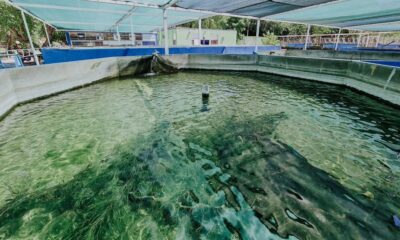 El Parque de la Biodiversidad aplicará un sistema que permite ahorrar agua y energía.