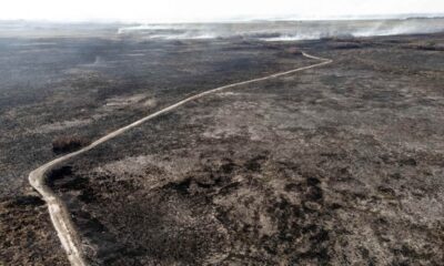 Nación declaró estado de Emergencia Agropecuaria a Corrientes tras las consecuencias de los incendios.