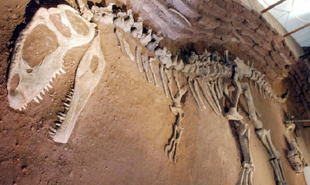 Una nueva investigación afirma que los dinosaurios se extinguieron por el cambio climático. Una nueva investigación afirma que los dinosaurios se extinguieron por el cambio climático.