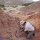 Encontraron por primera vez los restos de un dinosaurio carnívoro en Salta.