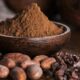 Encuentran el lugar donde los mayas hacían crecer sus arboledas sagradas de cacao.￼￼
