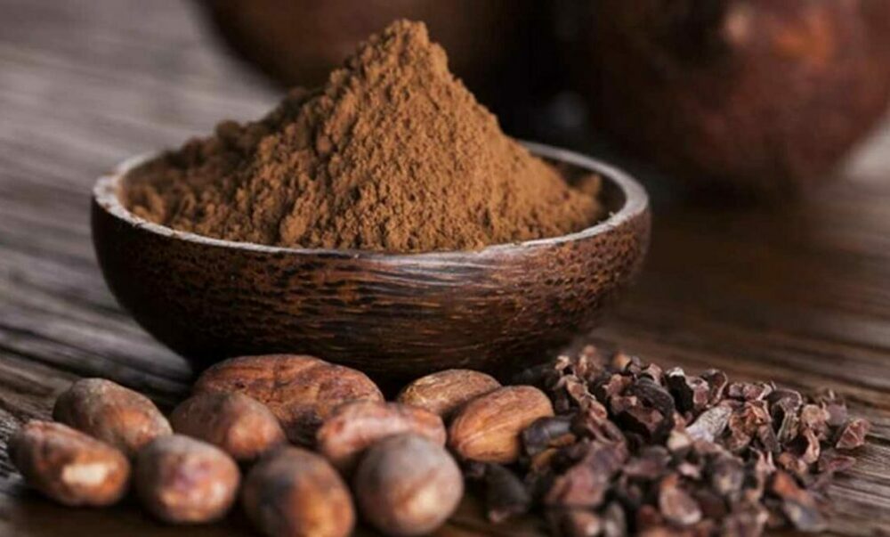Encuentran el lugar donde los mayas hacían crecer sus arboledas sagradas de cacao. Encuentran el lugar donde los mayas hacían crecer sus arboledas sagradas de cacao.