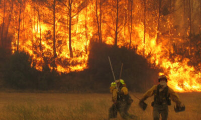 Incendios en Corrientes: Estiman pérdidas por más de $ 26.000 millones de pesos.