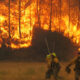 Incendios en Corrientes: Estiman pérdidas por más de $ 26.000 millones de pesos.