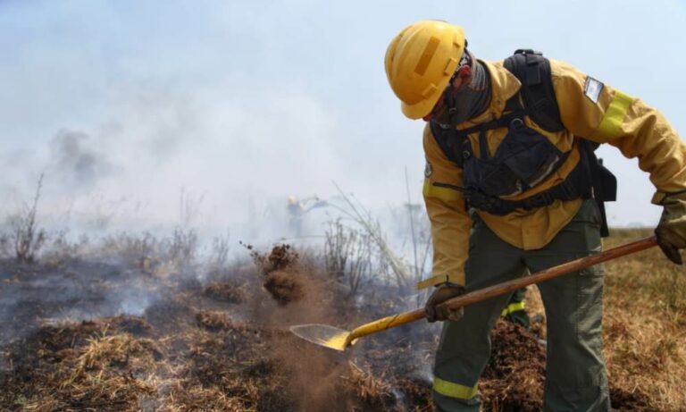 Incendios en Corrientes: desde noviembre, Nación ofreció asistencia en 16 ocasiones diferentes. Incendios en Corrientes: desde noviembre, Nación ofreció asistencia en 16 ocasiones diferentes.