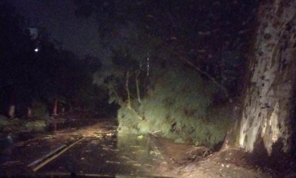 La lluvia vuelve a golpear a distintos departamentos en la provincia: ¿cuál es la situación actual?. La lluvia vuelve a golpear a distintos departamentos en la provincia: ¿cuál es la situación actual?.