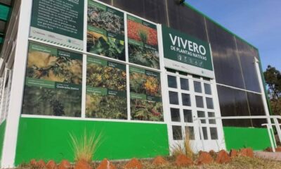 Comenzó la recolección de semillas para producción de plantines en el Vivero de la Secretaría de Estado de Ambiente.