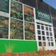 Comenzó la recolección de semillas para producción de plantines en el Vivero de la Secretaría de Estado de Ambiente.