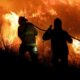 Las consecuencias del viento zonda en San Juan: Se detectaron 16 incendios.