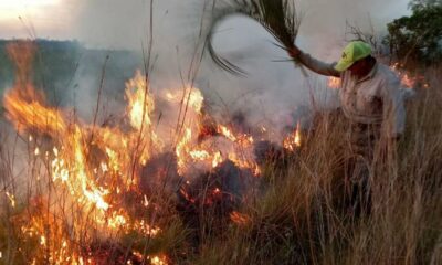 Cabandié remarcó sobre los incendios: «acción humana intencionada, quema de pastizales como práctica productiva y la sequía».