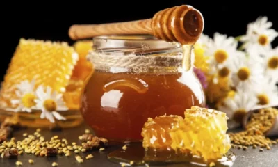 Las comunidades originarias de Valle Fértil comenzaron a producir miel.