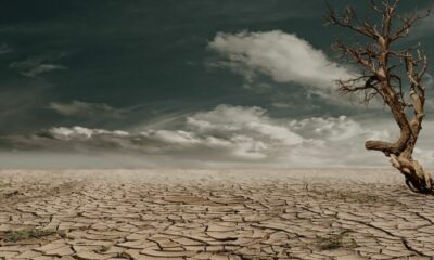 La ONU emitió un dramático preinforme sobre las consecuencias del cambio climático.