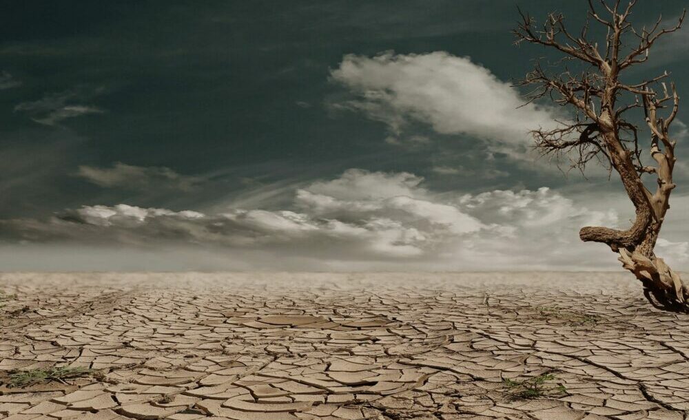 La ONU emitió un dramático preinforme sobre las consecuencias del cambio climático. La ONU emitió un dramático preinforme sobre las consecuencias del cambio climático.